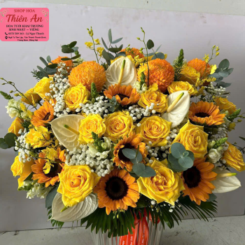 Hoa Khai Trương Mẫu 1 