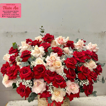 Hoa Khai Trương Mẫu 3