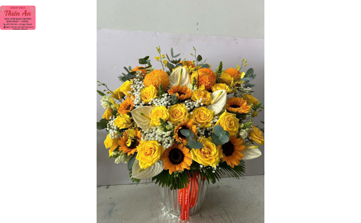 Hoa Khai Trương Mẫu 1 