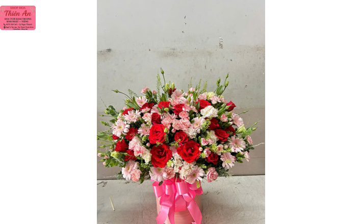 Hoa Khai Trương Mẫu 4